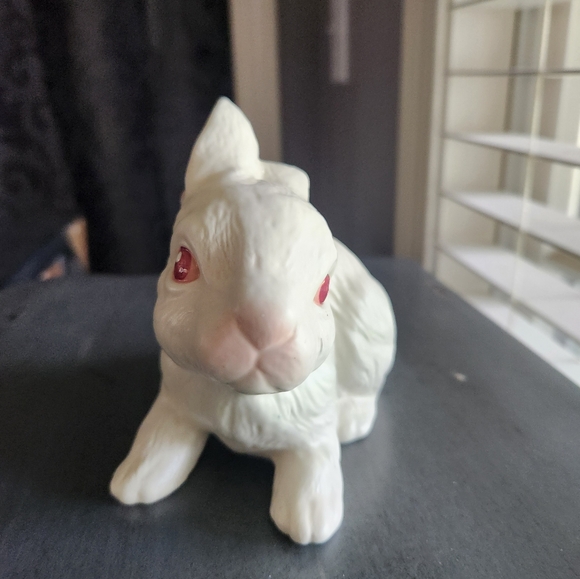 White Rabbit - Picture 2 of 4